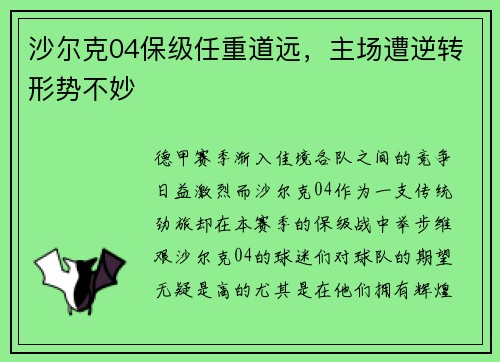 沙尔克04保级任重道远，主场遭逆转形势不妙