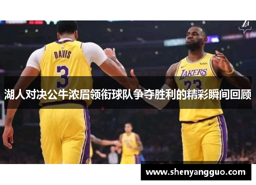 湖人对决公牛浓眉领衔球队争夺胜利的精彩瞬间回顾