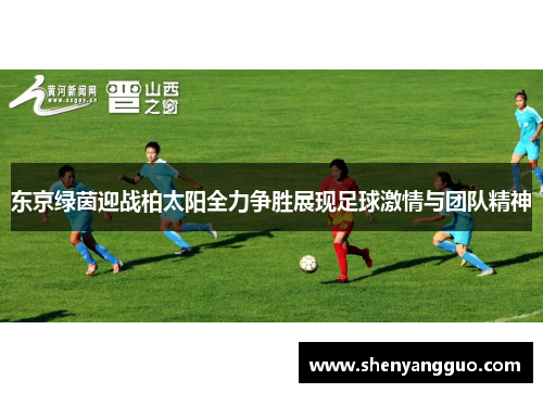 东京绿茵迎战柏太阳全力争胜展现足球激情与团队精神