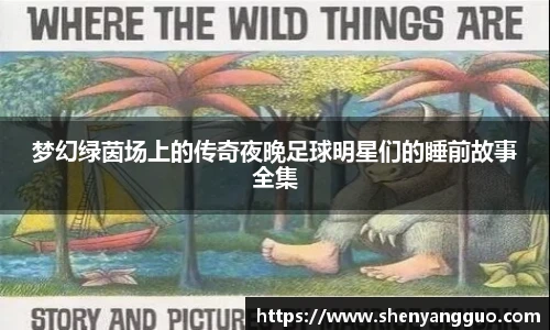 梦幻绿茵场上的传奇夜晚足球明星们的睡前故事全集