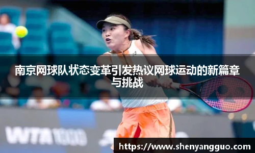 南京网球队状态变革引发热议网球运动的新篇章与挑战